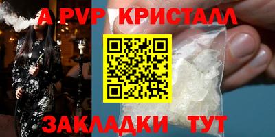 стафф Будённовск