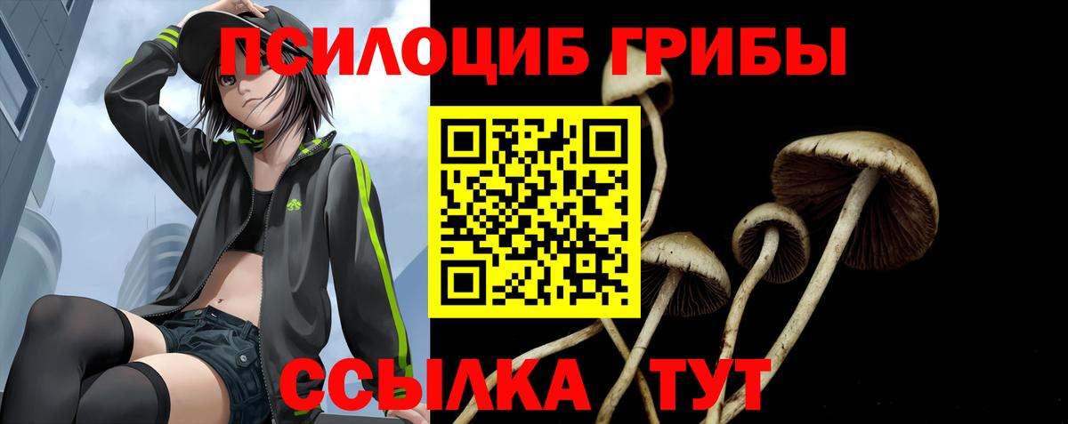 Галлюциногенные грибы мицелий  Псилоцибиновые грибы мухоморы  Заинск  Вход с VPN 